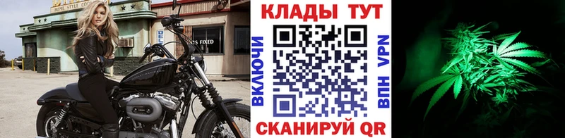 ГАШИШ Плавск