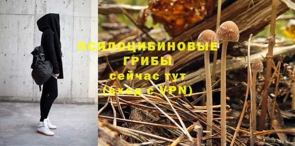 стафф Абинск
