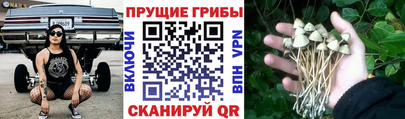 Псилоцибиновые грибы ЛСД Плавск